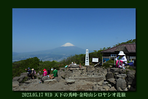 kintoki0517top