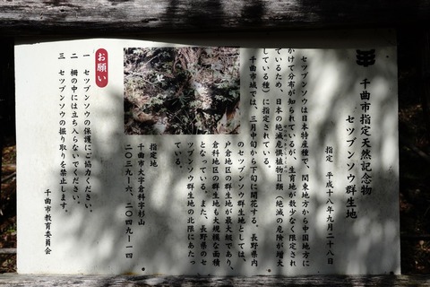 nlj1771
