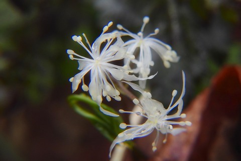 dscn9932