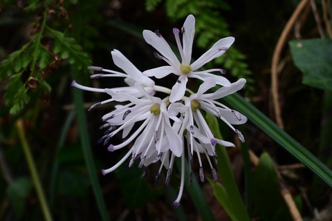 dscn0189
