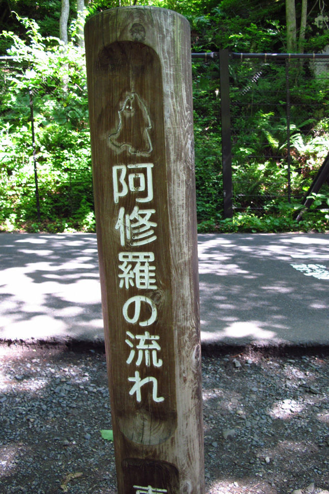 イメージ 9