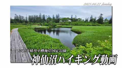 shinsennumadouga1