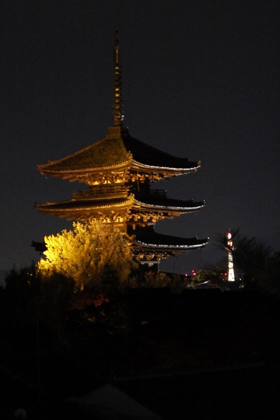 イメージ 51