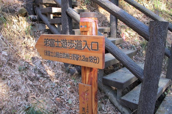 イメージ 14