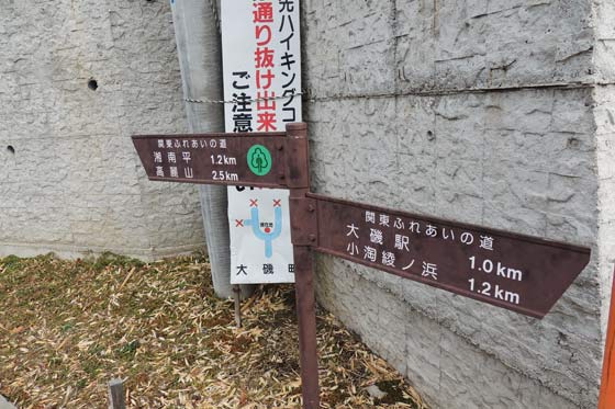イメージ 12