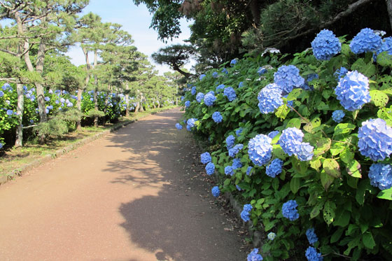 イメージ 25