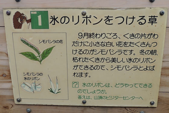 イメージ 29
