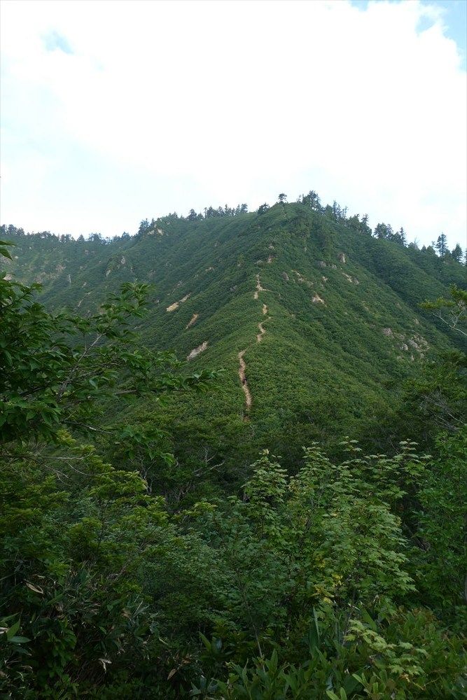 イメージ 14