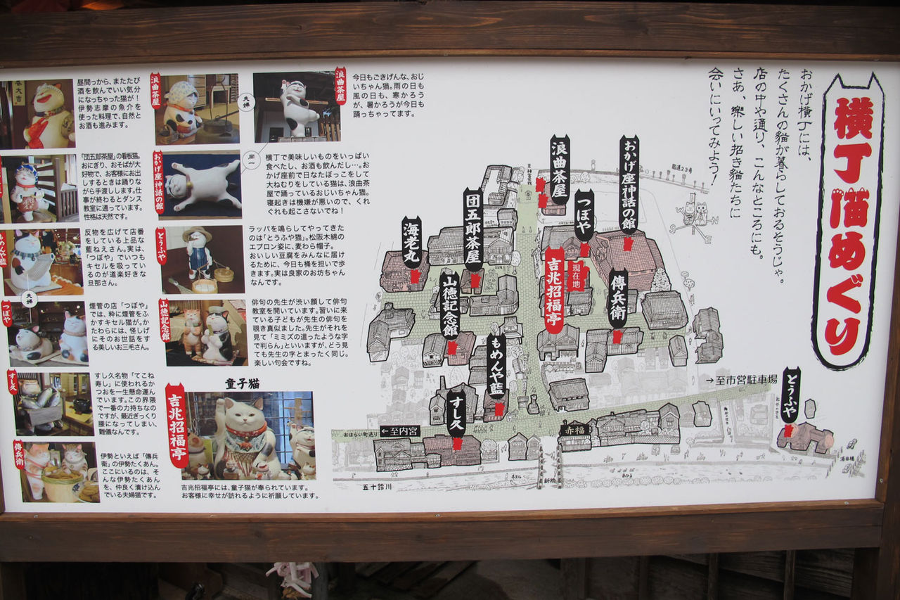 イメージ 12
