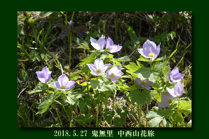 イメージ 1