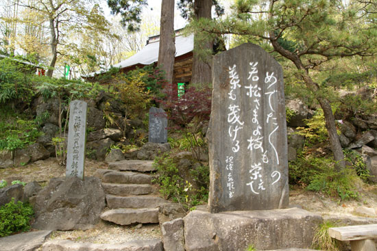 イメージ 5