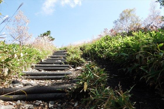 イメージ 9