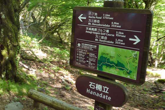 イメージ 28