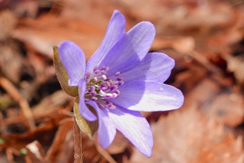 dscn9983