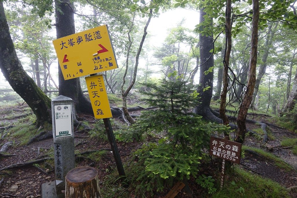 イメージ 13