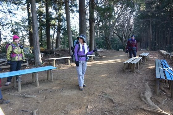 イメージ 26