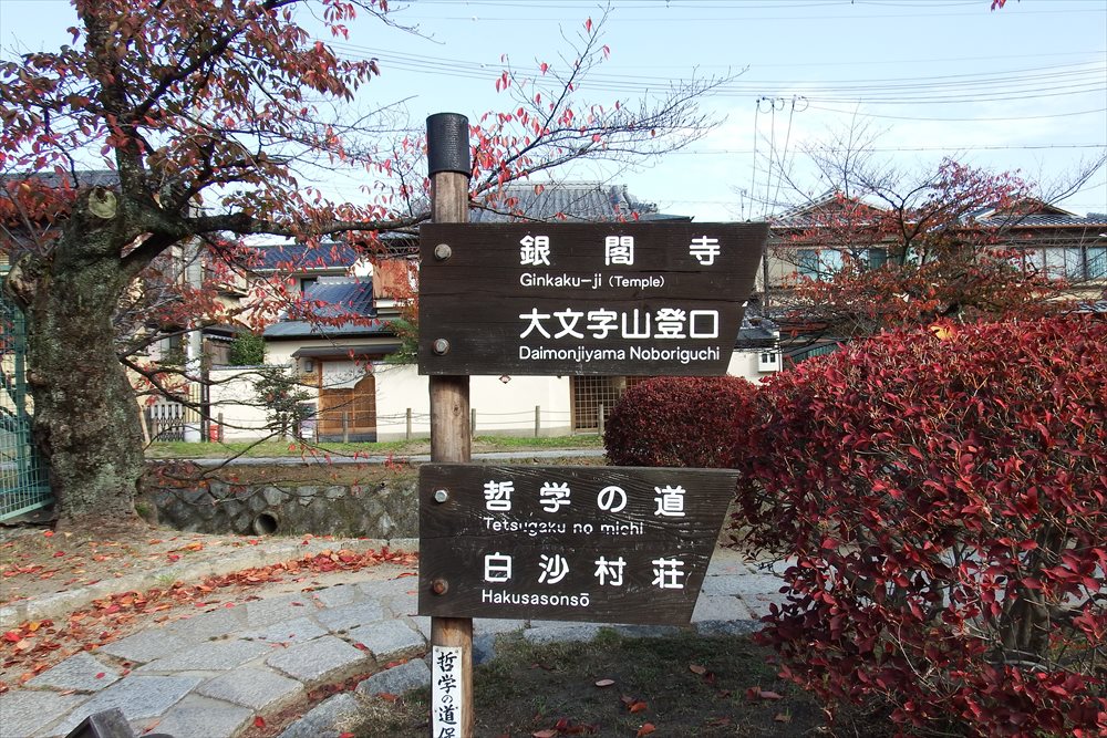 イメージ 17