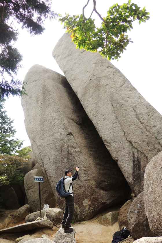 イメージ 5