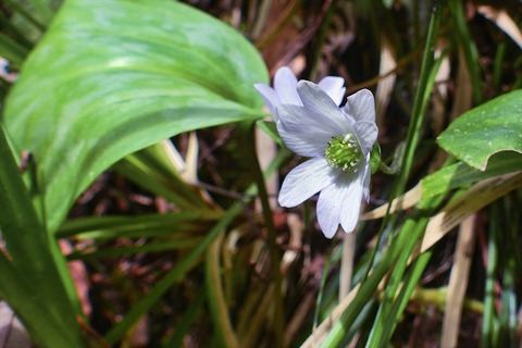 dscn5893a