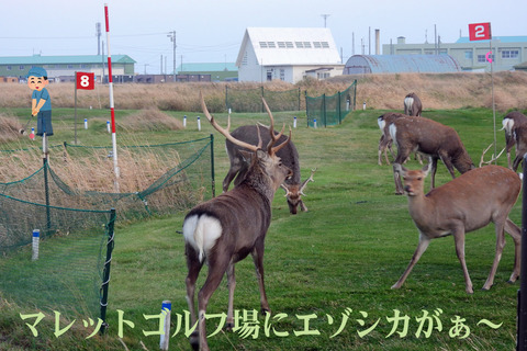 dscn3511