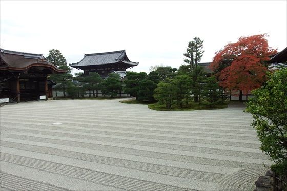 イメージ 29