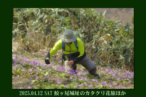samegao0412top