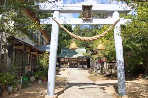 イメージ 18