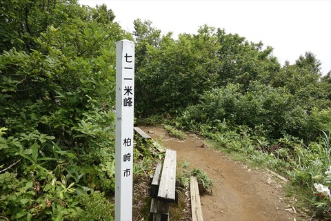yoneya1764