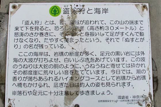 イメージ 12