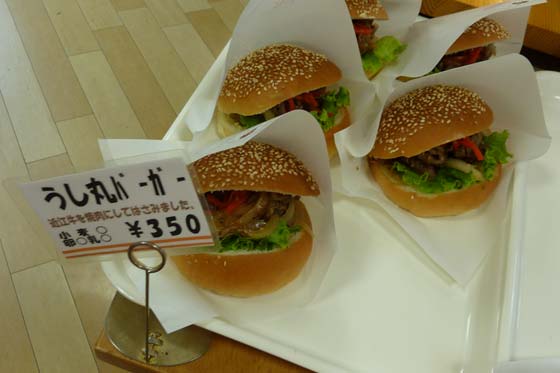 イメージ 8