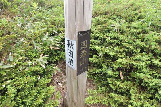 イメージ 35