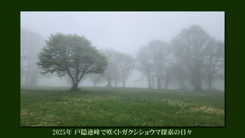 togakusisoutop