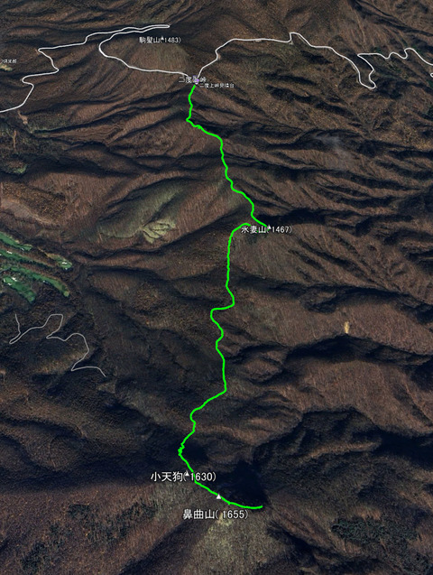 hanamagari0814google