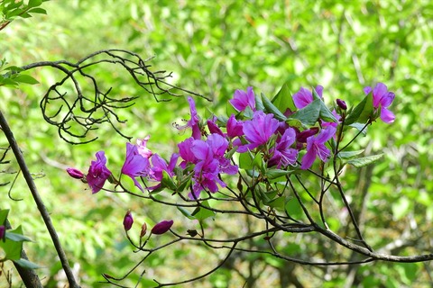dscn5565