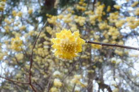 p3230244