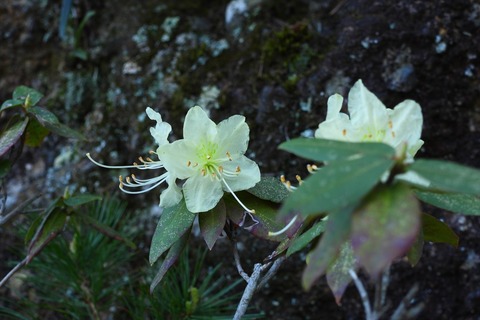 dscn0700