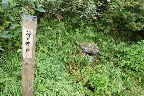 イメージ 25