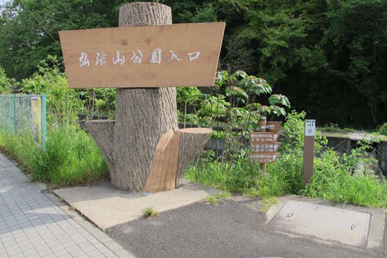 イメージ 7