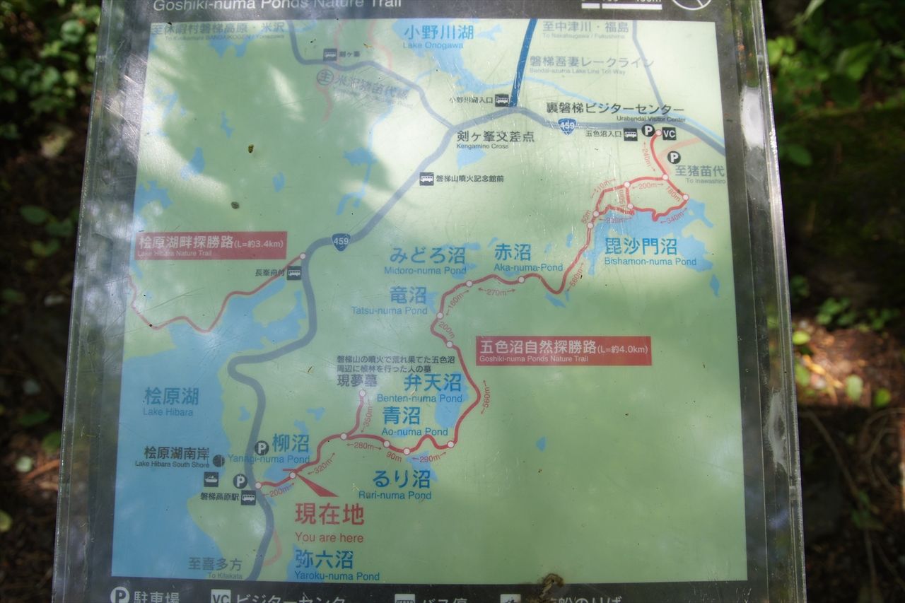 イメージ 6