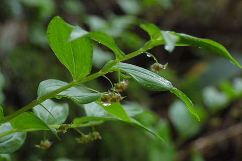 dscn2337