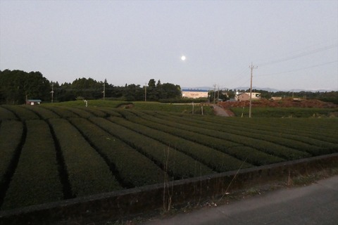umigo677