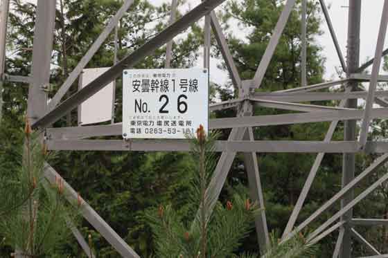 イメージ 19