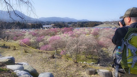 nlj_144006a
