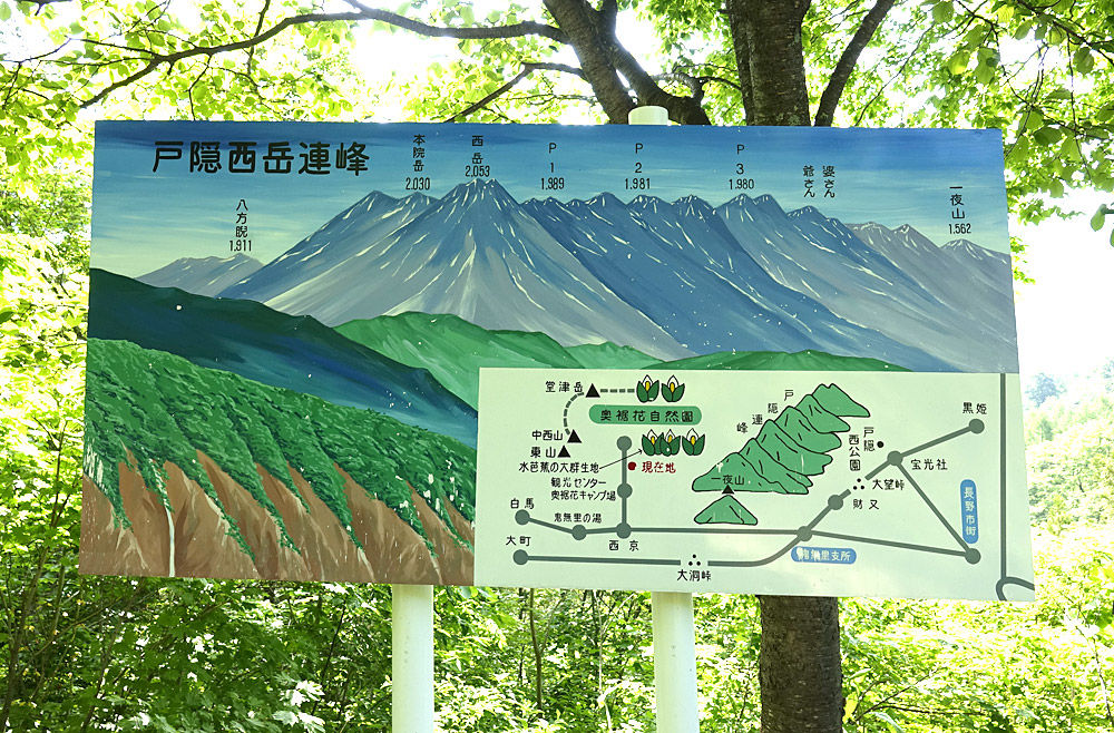 イメージ 4