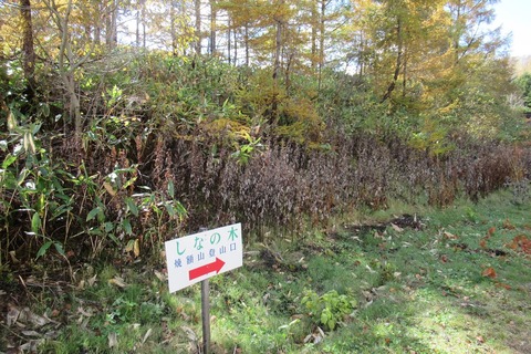 ito2552