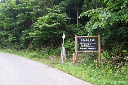イメージ 3