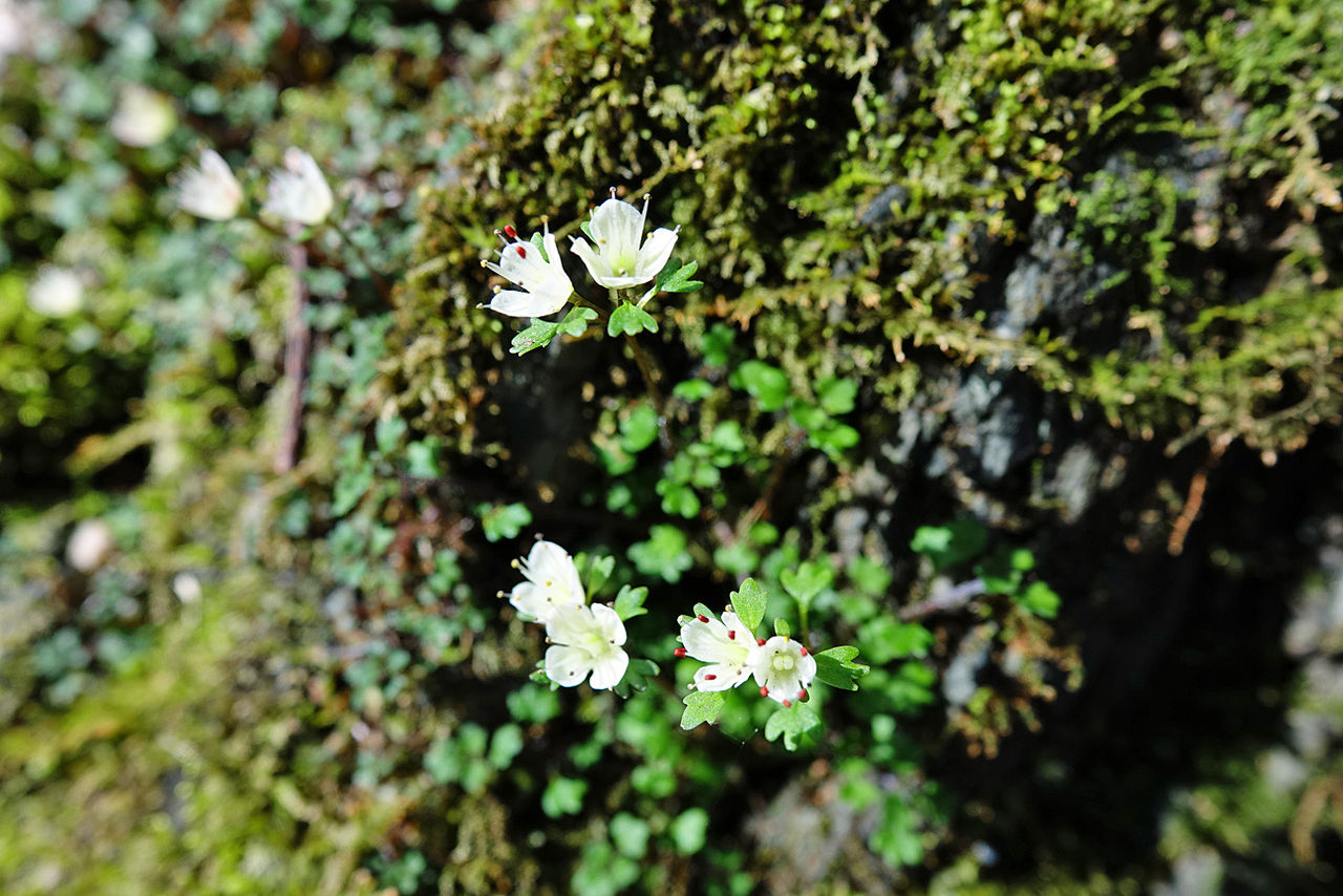 イメージ 23