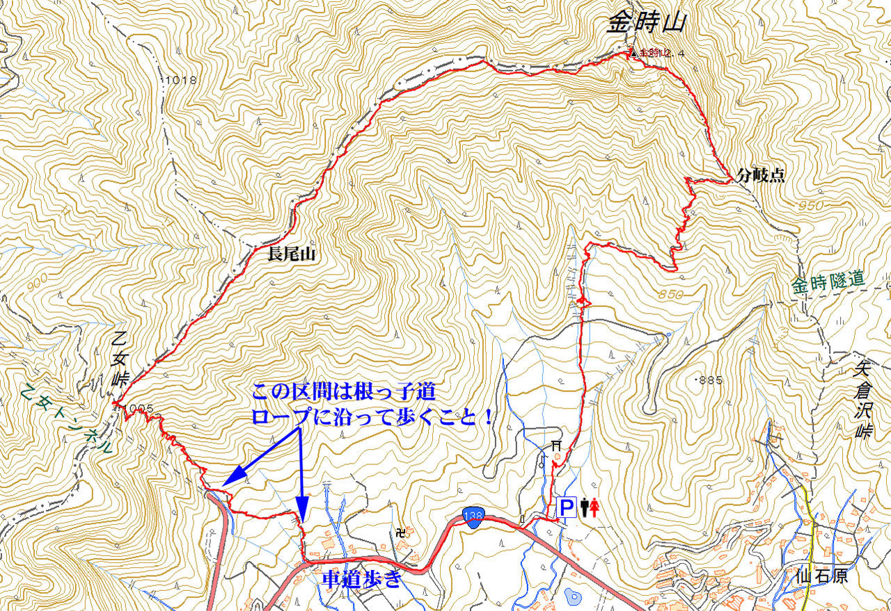 イメージ 39