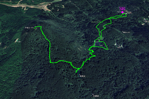 tokuragoogle0502