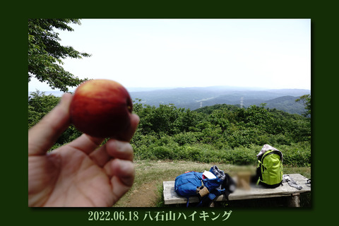 hatikokutop